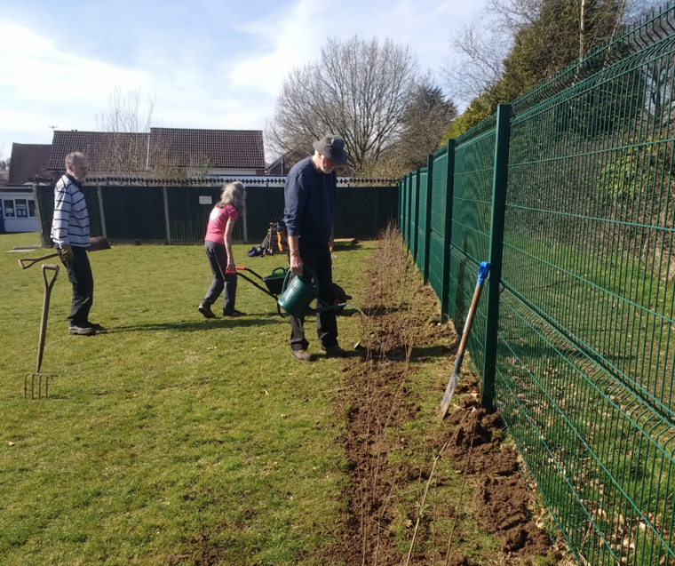 Tree gang planting trees on school grounds