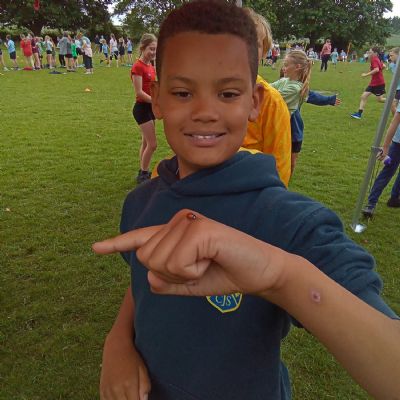 Sports Day
