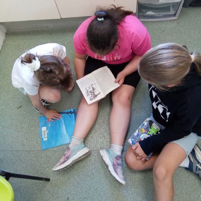Paired Reading