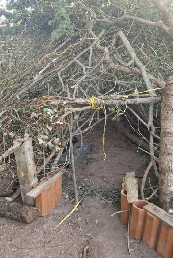 a den made of sticks