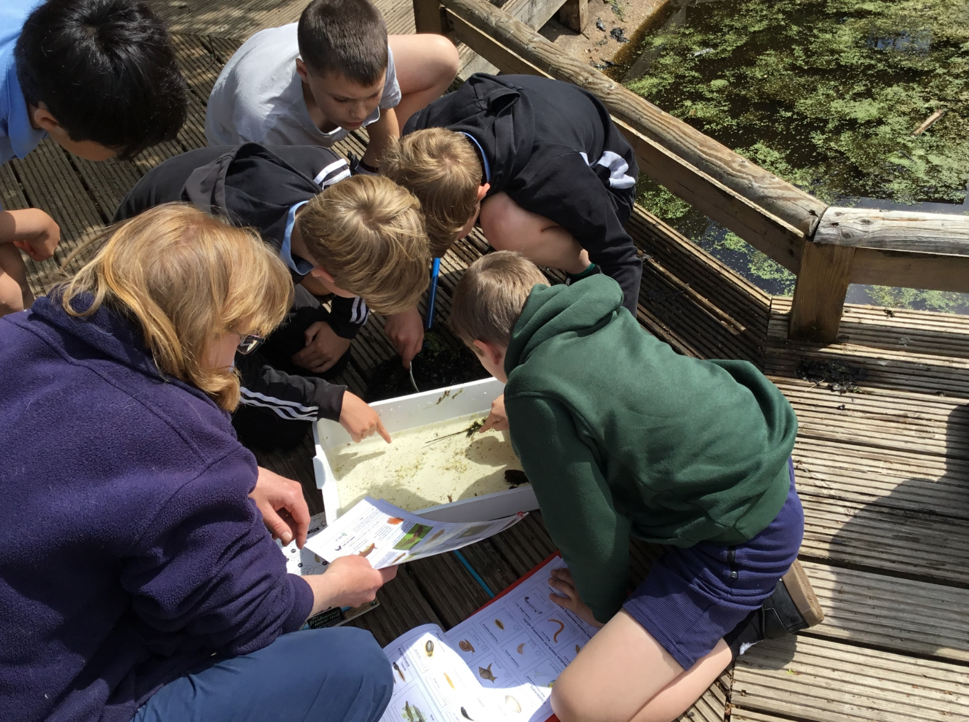 Children around a pond dipping bowl