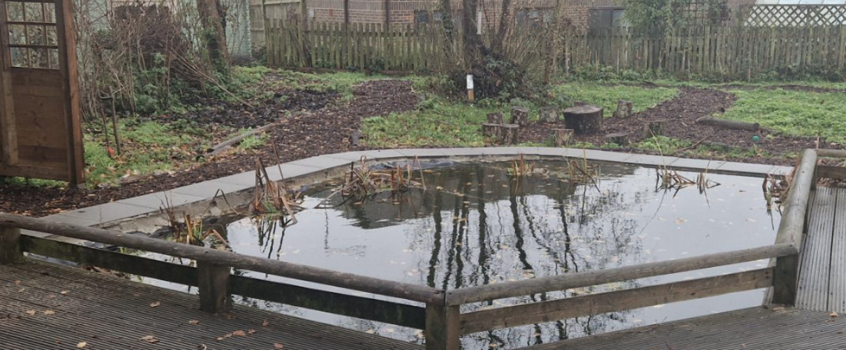 A pond in a school garden