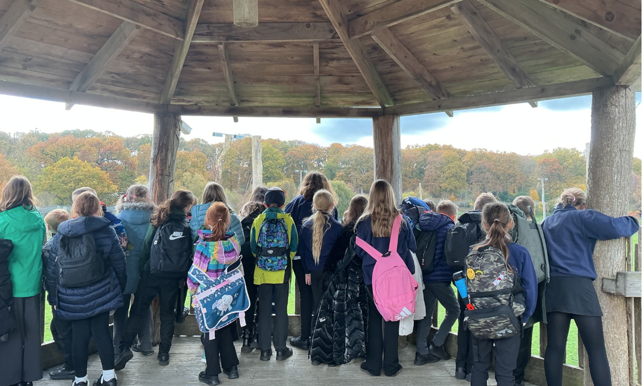 Children looking at a view