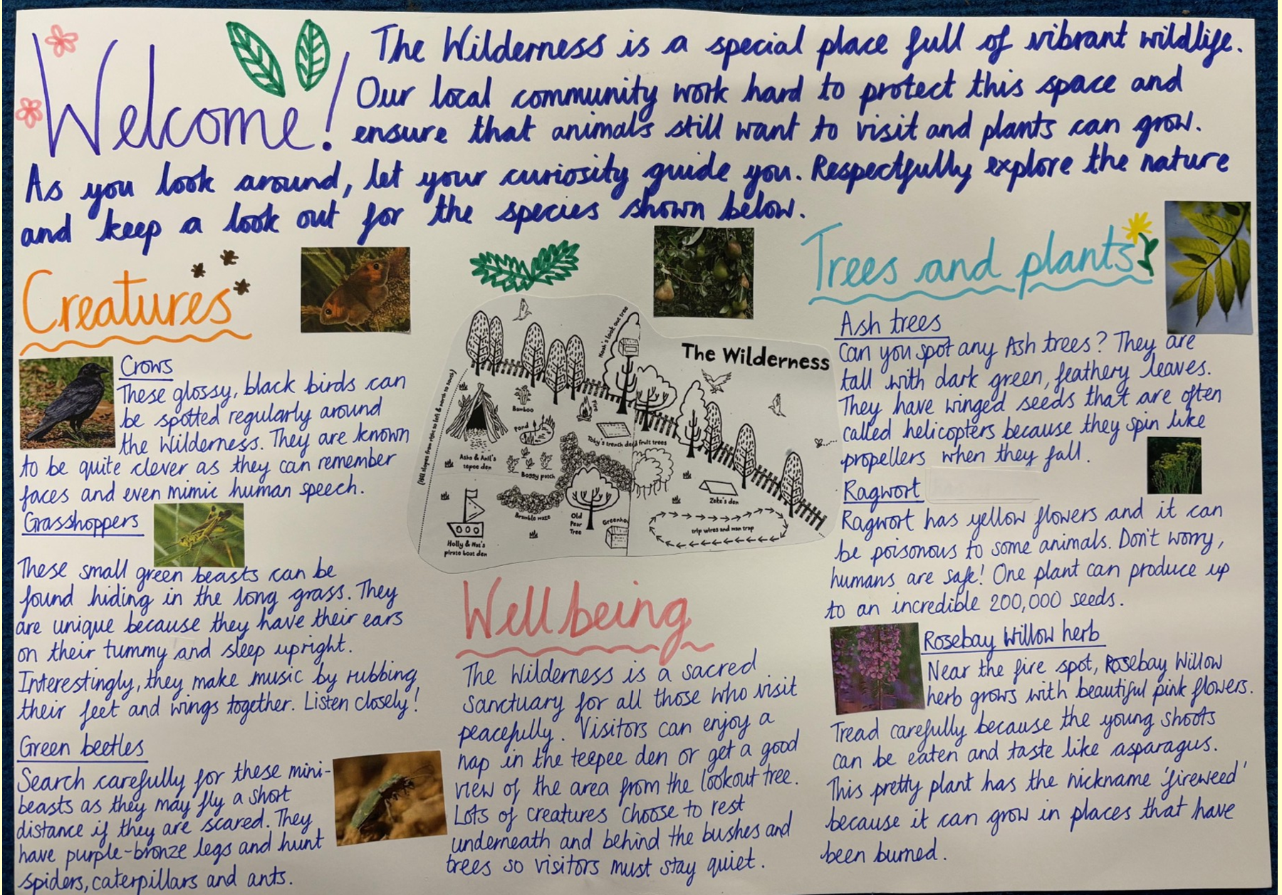 Example of an information board