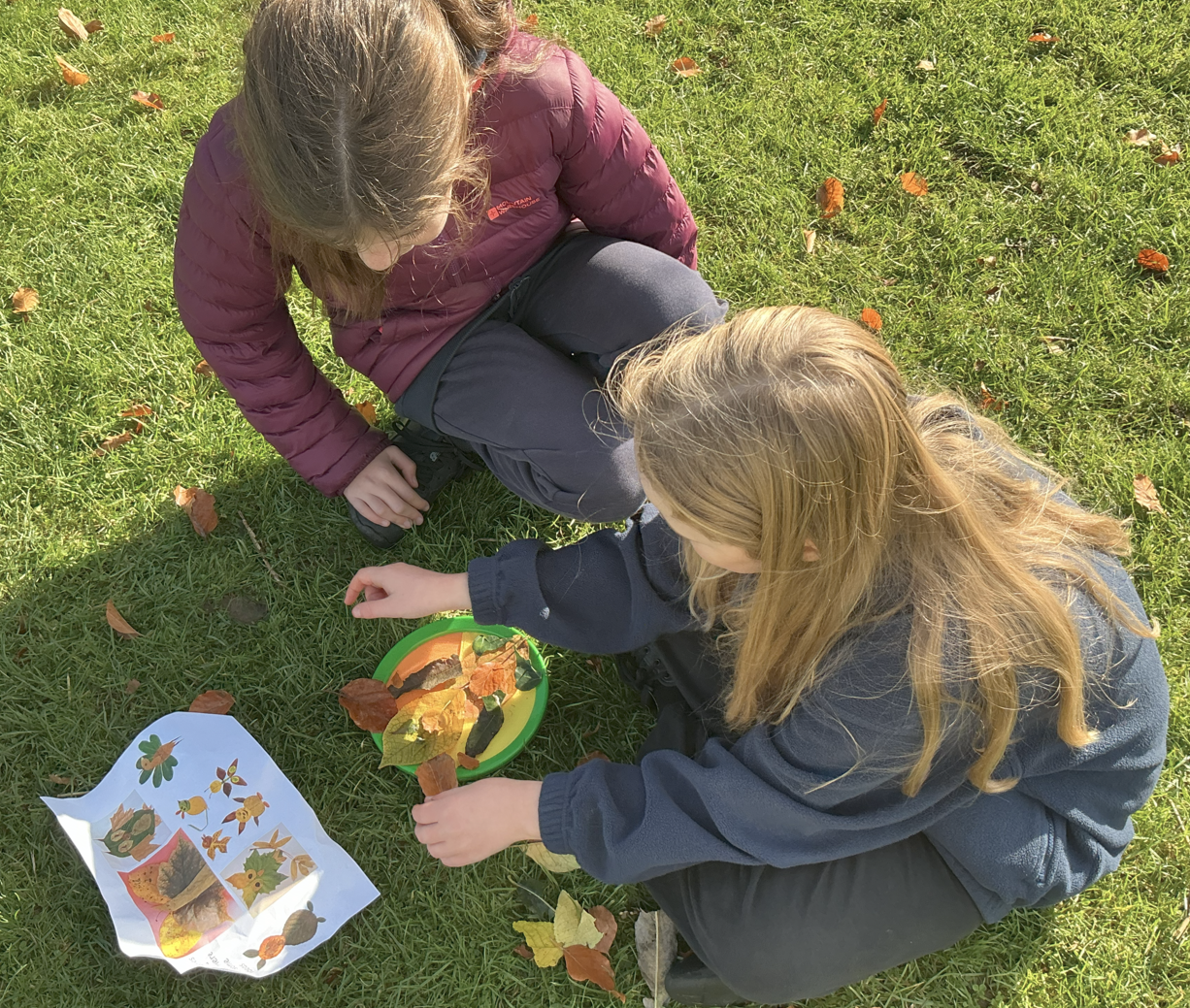 2 girls collecting leaves linked to animal designs