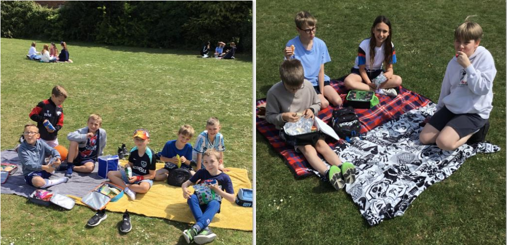 Children having a picnic