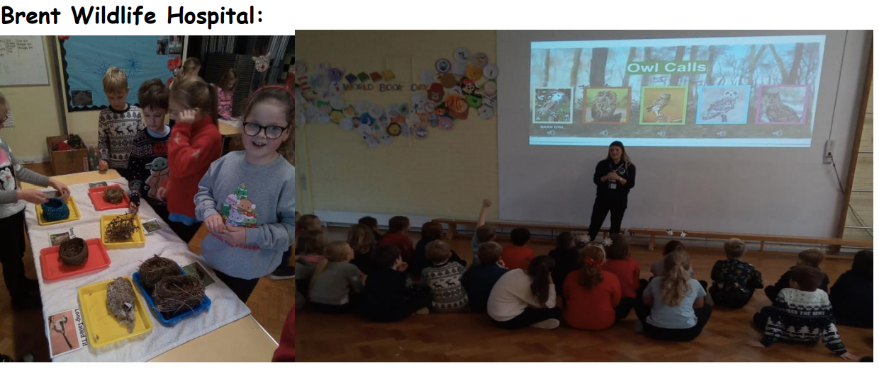 Brent wildlife hospital