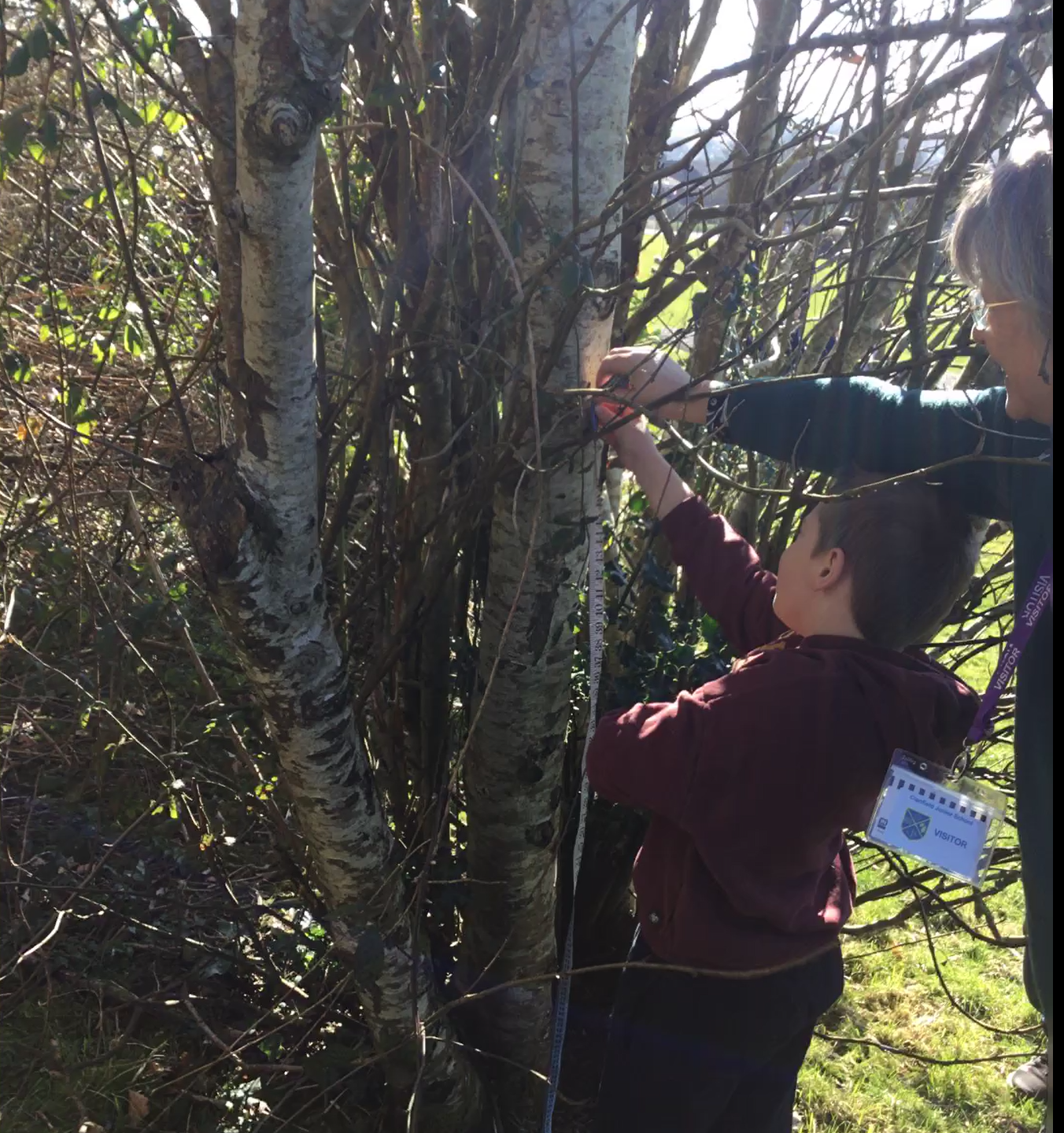 Child doing carbon capturing with a tree.