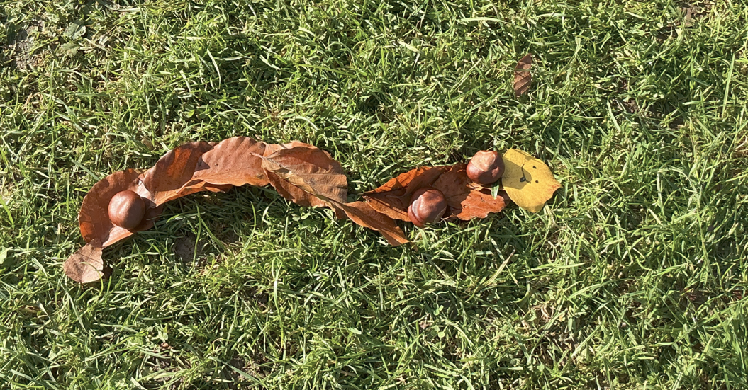 Leaf creature on grass