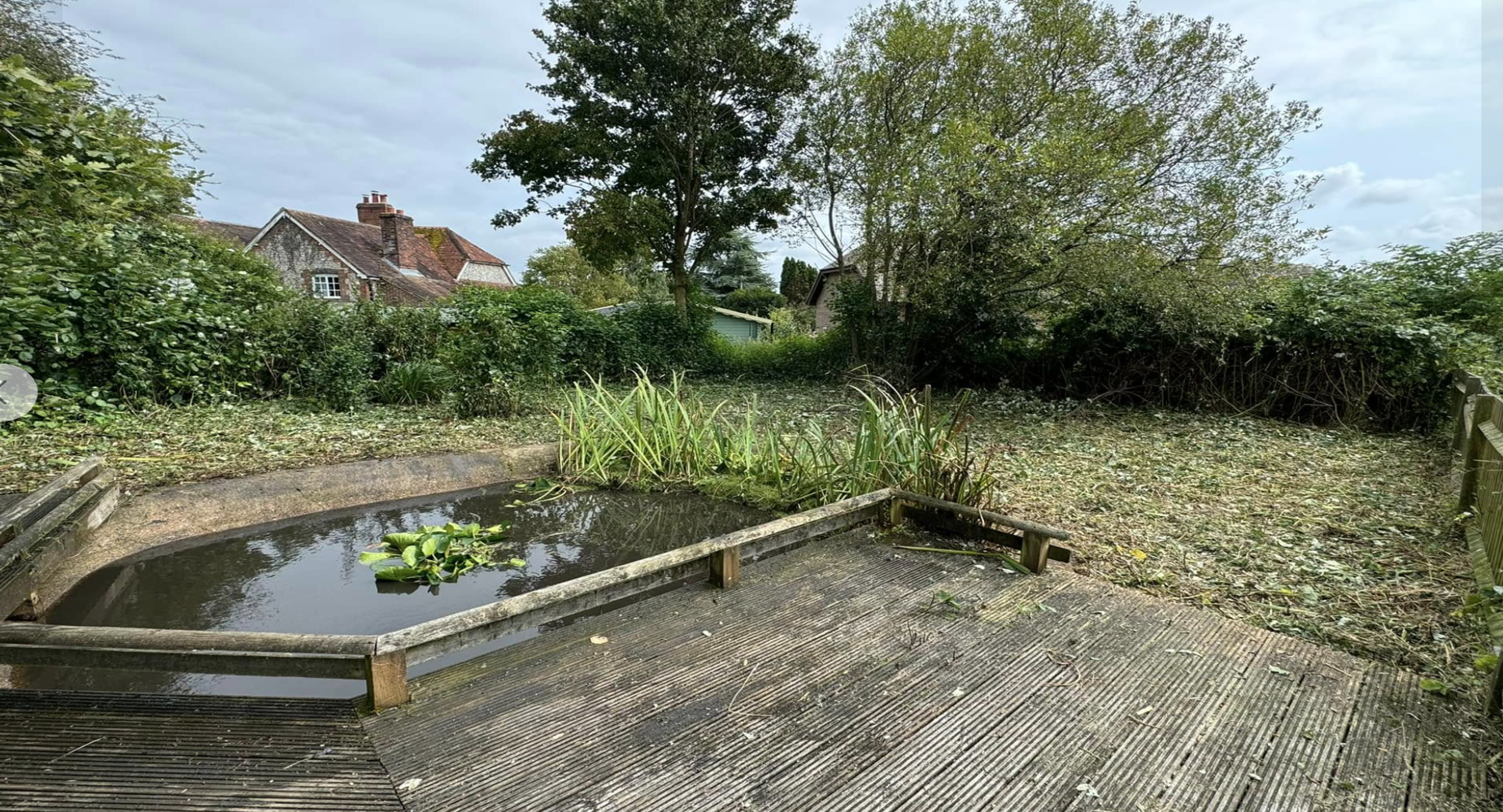 Pond after being cutback