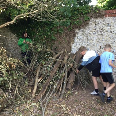 Den building