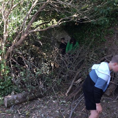 Den building