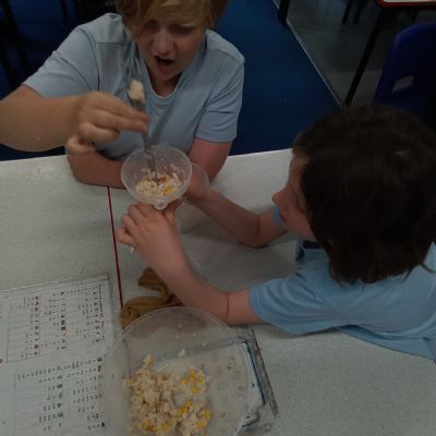 Science experiment 2