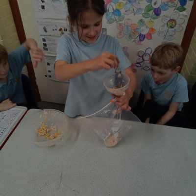 Science experiment